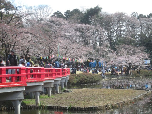 八つ橋